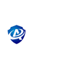 廈門領安科技俄罗斯aa一级毛片